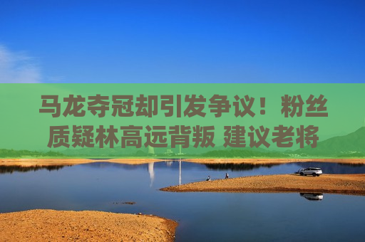 马龙夺冠却引发争议！粉丝质疑林高远背叛 建议老将退役 给新人让路
